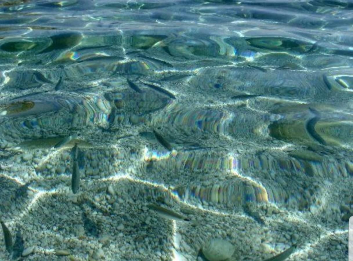 Casa Vacanze Sea-Life อัลกาโมมารีนา ภายนอก รูปภาพ